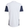 Argentina Camiseta De Entrenamiento Copa Mundial 2026 Blanca - Hombre