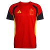 Bélgica Camiseta De Entrenamiento Copa Mundial 2026 Roja - Hombre
