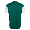 Italia Camiseta De Entrenamiento Copa Mundial 2026 Verde - Hombre