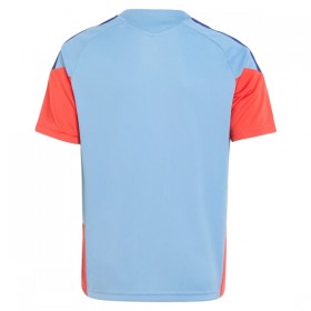 Japón Camiseta De Entrenamiento Copa Mundial 2026 Azul - Hombre