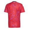 Camisetas Costa Rica Primera Copa Mundial 2026 - Hombre