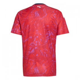 Camisetas Costa Rica Primera Copa Mundial 2026 - Hombre