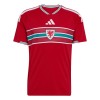 Camisetas Gales Primera Copa Mundial 2026 - Hombre