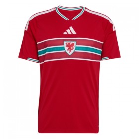 Camisetas Gales Primera Copa Mundial 2026 - Hombre