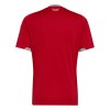 Camisetas Gales Primera Copa Mundial 2026 - Hombre