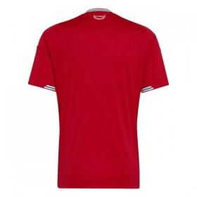 Camisetas Gales Primera Copa Mundial 2026 - Hombre