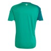 Camisetas Irlanda Del Norte Primera Copa Mundial 2026 - Hombre