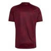 Camisetas Venezuela Primera Copa Mundial 2026 - Hombre