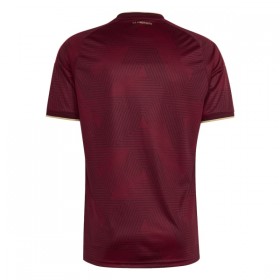 Camisetas Venezuela Primera Copa Mundial 2026 - Hombre