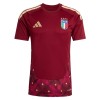 Camisetas Italia Portero Primera Copa Mundial 2026 Roja - Hombre