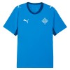 Camisetas Islandia Primera Copa Mundial 2026 - Hombre