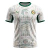 Camisetas Senegal Primera Copa Mundial 2026 - Hombre