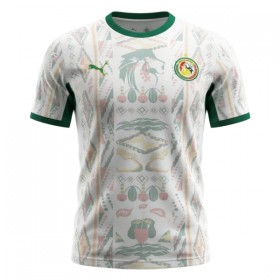 Camisetas Senegal Primera Copa Mundial 2026 - Hombre