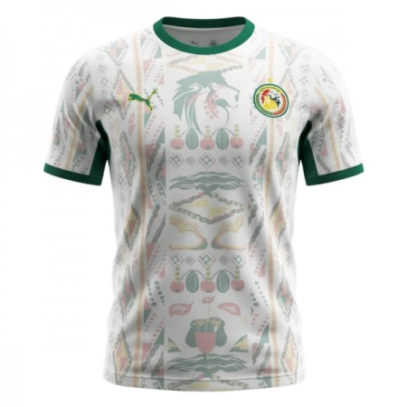 Camisetas Senegal Primera Copa Mundial 2026 - Hombre