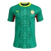 Camisetas Senegal Segunda Copa Mundial 2026 - Hombre