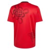 Camisetas Manchester United Chinese Lucky Knot Special Edition 2026 - Hombre