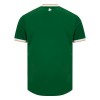 Camisetas Irlanda Primera 2026/27 - Hombre