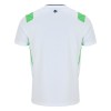 Camisetas Irlanda Segunda 2026/27 - Hombre