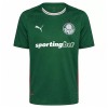 Camisetas Palmeiras Primera 2026/27 - Hombre