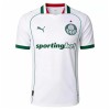 Camisetas Palmeiras Segunda 2026/27 - Hombre