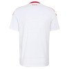 Camisetas Toronto FC Segunda 2026 - Hombre