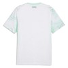 Camisetas Austria Segunda Copa Mundial 2026 - Hombre