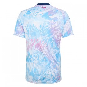 Camisetas Costa Rica Segunda Copa Mundial 2026 - Hombre