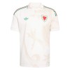 Camisetas Gales Segunda Copa Mundial 2026 - Hombre