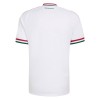 Camisetas Hungría Segunda Copa Mundial 2026 - Hombre