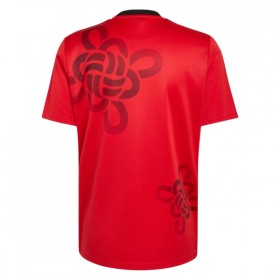 Camisetas Manchester United Cultural Story Special Edition 2025/26 - Hombre