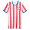Camisetas Paraguay Primera Copa Mundial 2026 - Hombre