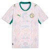 Camisetas Senegal Primera Copa Mundial 2026 - Hombre