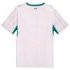 Camisetas Senegal Primera Copa Mundial 2026 - Hombre