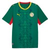Camisetas Senegal Segunda Copa Mundial 2026 - Hombre