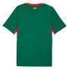 Camisetas Senegal Segunda Copa Mundial 2026 - Hombre