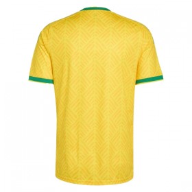 Camisetas Sudáfrica Primera Copa Mundial 2026 - Hombre