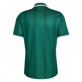Camisetas Sudáfrica Segunda Copa Mundial 2026 - Hombre