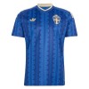 Camisetas Suecia Segunda Copa Mundial 2026 - Hombre