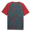 Camisetas Portugal Pre-Match Copa Mundial 2026 Roja - Hombre