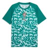 Camisetas Portugal Pre-Match Copa Mundial 2026 Verde - Hombre