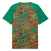 Camisetas Costa De Marfil Pre-Match Copa Mundial 2026 - Hombre