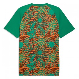 Camisetas Costa De Marfil Pre-Match Copa Mundial 2026 - Hombre