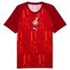 Camisetas Ghana Pre-Match Copa Mundial 2026 - Hombre