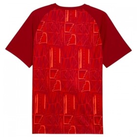 Camisetas Ghana Pre-Match Copa Mundial 2026 - Hombre