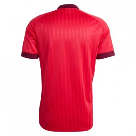 Camisetas Olympique Lyonnais Segunda 2026/27 - Niño (+ Pantalones)
