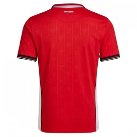 Camisetas Panamá Primera Copa Mundial 2026 - Hombre