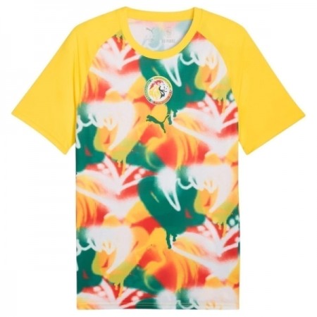Camisetas Senegal Pre-Match Copa Mundial 2026 - Hombre
