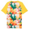 Camisetas Senegal Pre-Match Copa Mundial 2026 - Hombre