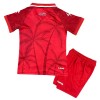 Camisetas Haiti Tercera Copa Mundial 2026 - Niño (+ Pantalones)