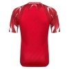 Camisetas Túnez Segunda Copa Mundial 2026 - Hombre
